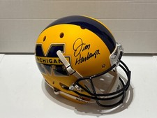 Jim harbaugh michigan for sale  Jacksonville