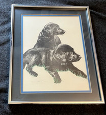 Vtg mcm labrador for sale  Dayton