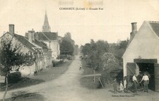 Carte combreux grande d'occasion  Genillé