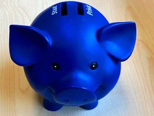 Riester sparschwein allianz gebraucht kaufen  Werne
