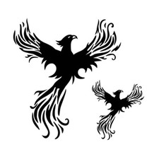 2 X Estampados PHOENIX TATUAJE TEMPORAL Larga Duración Impermeable segunda mano  Embacar hacia Mexico