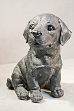 Black labrador puppy for sale  SOUTHAMPTON