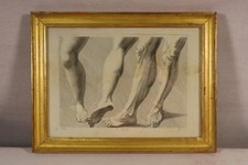 Ancienne gravure anatomique d'occasion  Vannes