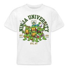 Teenage mutant ninja gebraucht kaufen  Leipzig