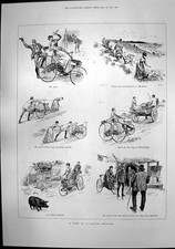 Antique old print for sale  UK