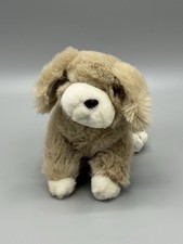 Adorable brown puppy for sale  Pittsburgh