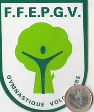 Jtgym. gymnastique. ffepgv d'occasion  Aucamville