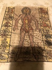 Antico manoscritto illustrato usato  Imperia