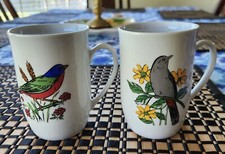 java finch for sale java finch for sale Norman