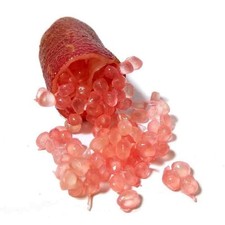 Microcitrus australasica pink d'occasion  Pouzauges