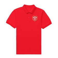 New welsh embroidered for sale  CHELTENHAM