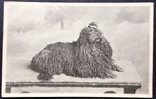 Vintage dog postcard for sale  LOUTH