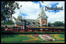 Disneyland mickey flowers for sale  Sunnyvale