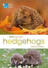 Rspb spotlight hedgehogs for sale  ROSSENDALE