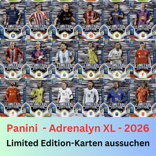 Figurine panini fifa usato  Spedire a Italy