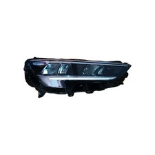 Opel insignia faro usato  Torrita Tiberina
