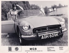 british leyland cars for sale  BAGSHOT