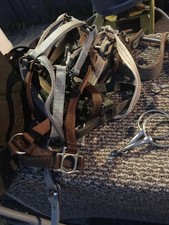 Lot halters reins for sale  Estes Park
