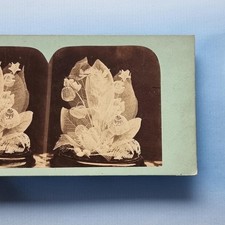 Victorian still life for sale  TELFORD