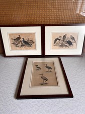 Schöne zeichnungen bilderreih gebraucht kaufen  Kempten (Allgäu)