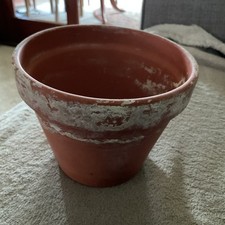 Terracotta clay plant for sale  FOCHABERS