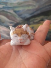Cats for sale Cats for sale Lakeport