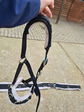 Lunging training roller for sale  HASSOCKS