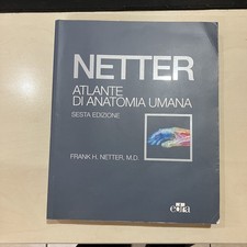 Netter atlante anatomia usato  Aversa