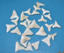 Shells small set d'occasion  Expédié en Belgium