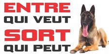 Plaque attention chien d'occasion  Saint-Martin-de-Crau