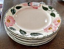 Lot grandes assiettes d'occasion  Yffiniac