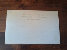 Cartolina sulmona fontana usato  Massa di Somma