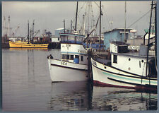 Postcard commercial fishing for sale  Bakersfield