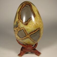 3.2 septarian dragon for sale  Acworth