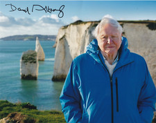 David attenborough hand for sale  BRIERLEY HILL