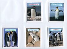 Penguins cards set for sale  BRECON