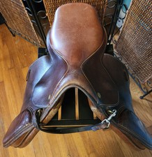 Collegiate english jumping for sale  Olive Branch