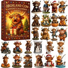 2025 funny highland for sale  UK