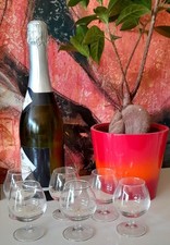Petits verres liqueur d'occasion  Bois-d'Arcy