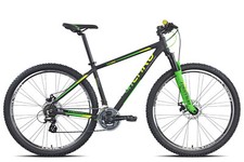 Bici torpado mtb usato  Castro
