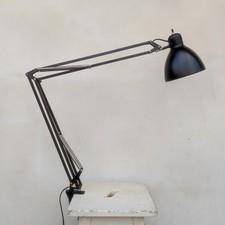 Lampada naska loris usato  Brescia
