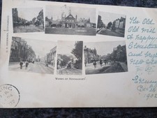 Suffolk newmarket horses for sale  ST. ALBANS