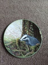 Badger evening prowl for sale  NOTTINGHAM