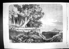 Old antique print for sale  UK