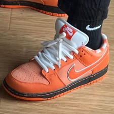 Nike concepts dunk d'occasion  Hérouville-Saint-Clair