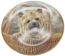 Yorkshire terrier plate for sale  LEEDS