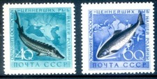 Russia 2222 michel for sale  NORTHAMPTON