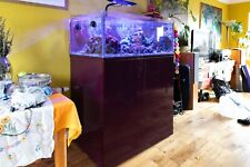 Marine reef aquarium for sale  KILWINNING