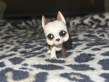 Lps little pet for sale  Paducah