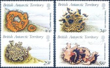 i licheni usato i licheni usato  Milano